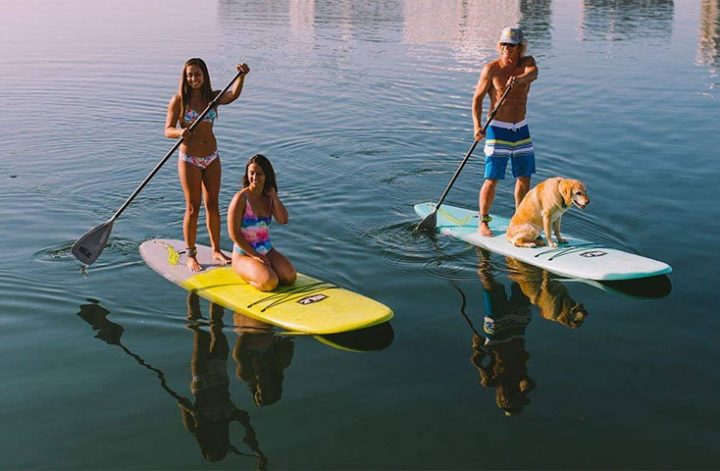 how to choose a paddle board